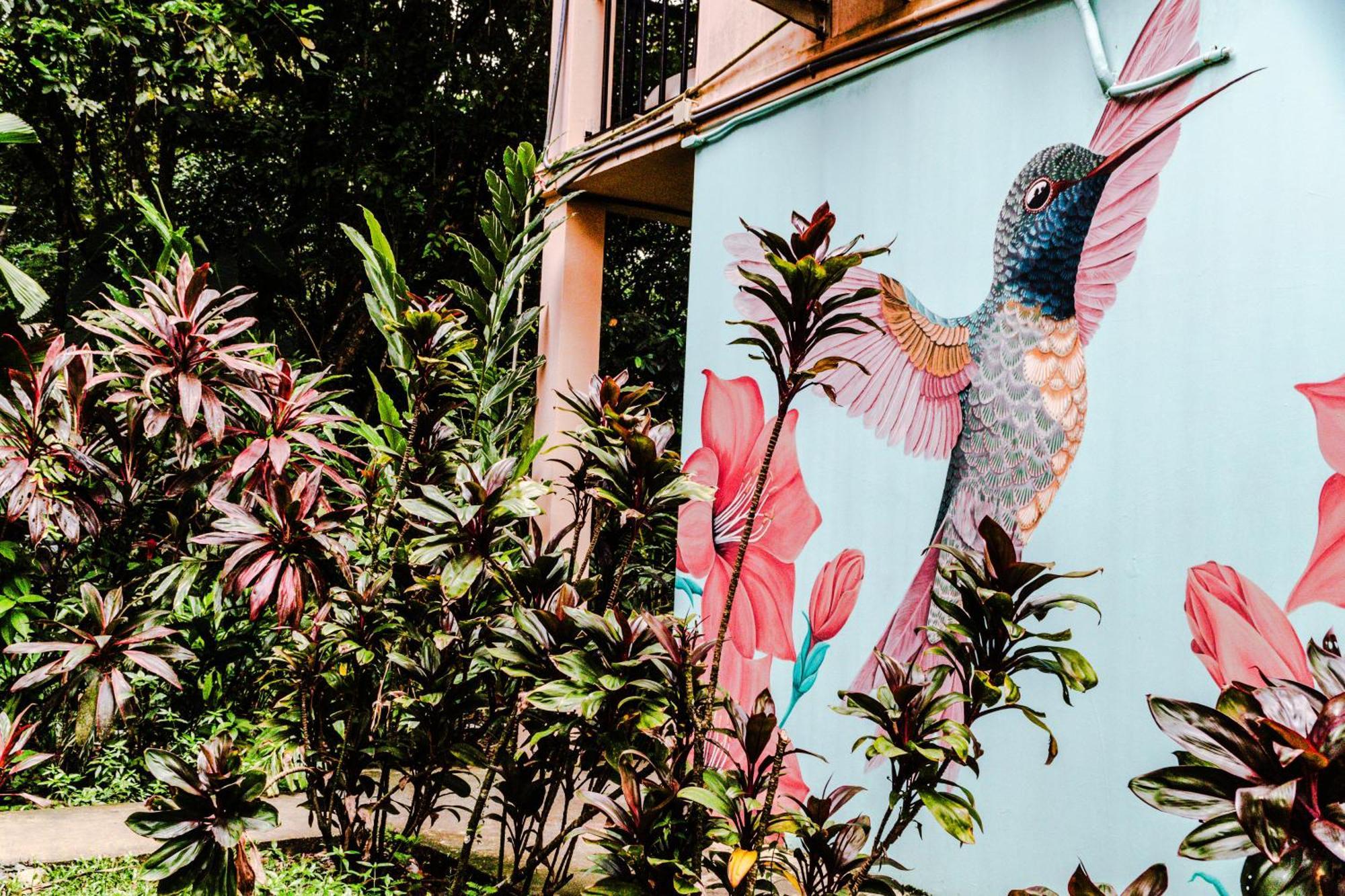 Hotel Socialtel Red Frog Bocas del Toro Exterior foto